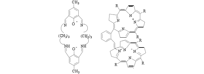 双氧水漂白催化剂