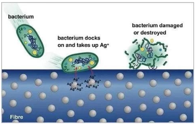银离子共混改性纤维抗菌机理.png