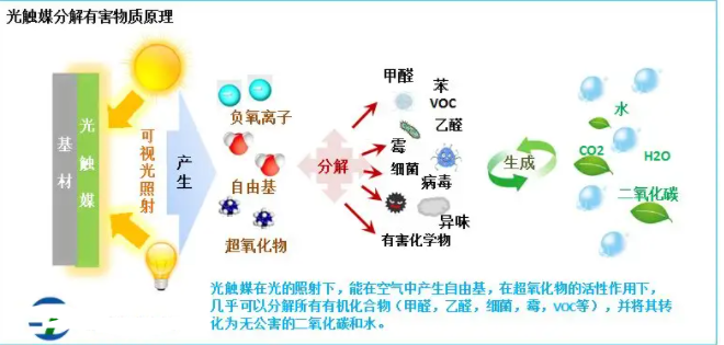 光触媒抗菌的反应机理.png