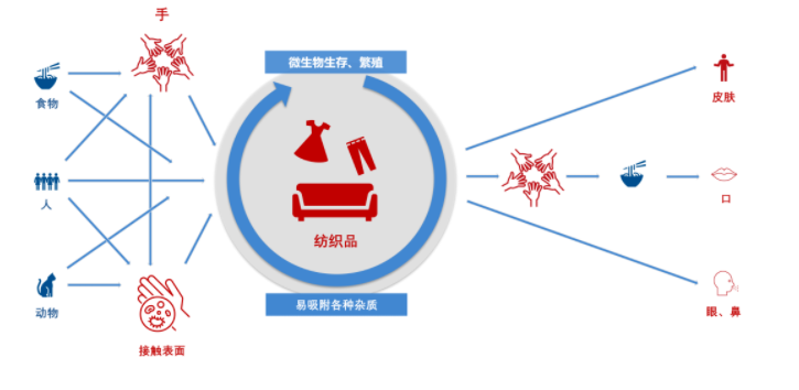 病菌通过双手和纺织品的传播途径.png